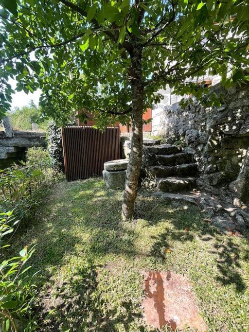 Villa Casa Da Tintim Em Baião Exterior foto
